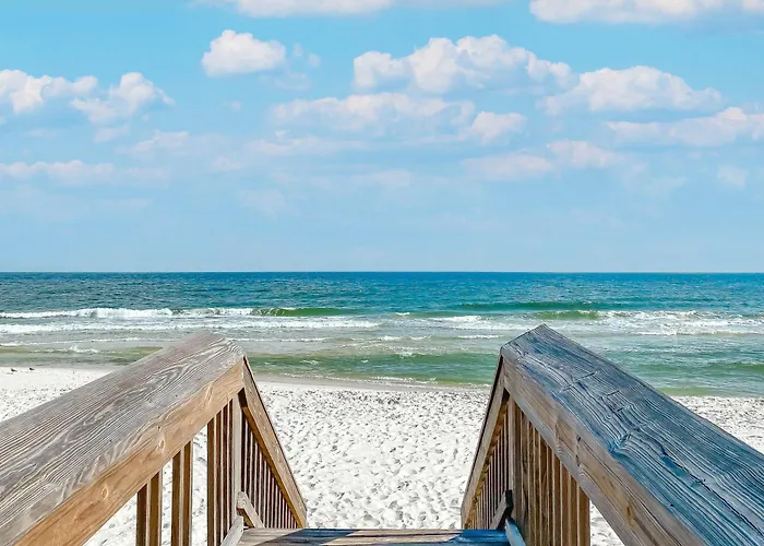 Bama Bliss *