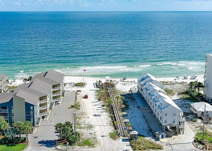 Bama Bliss
